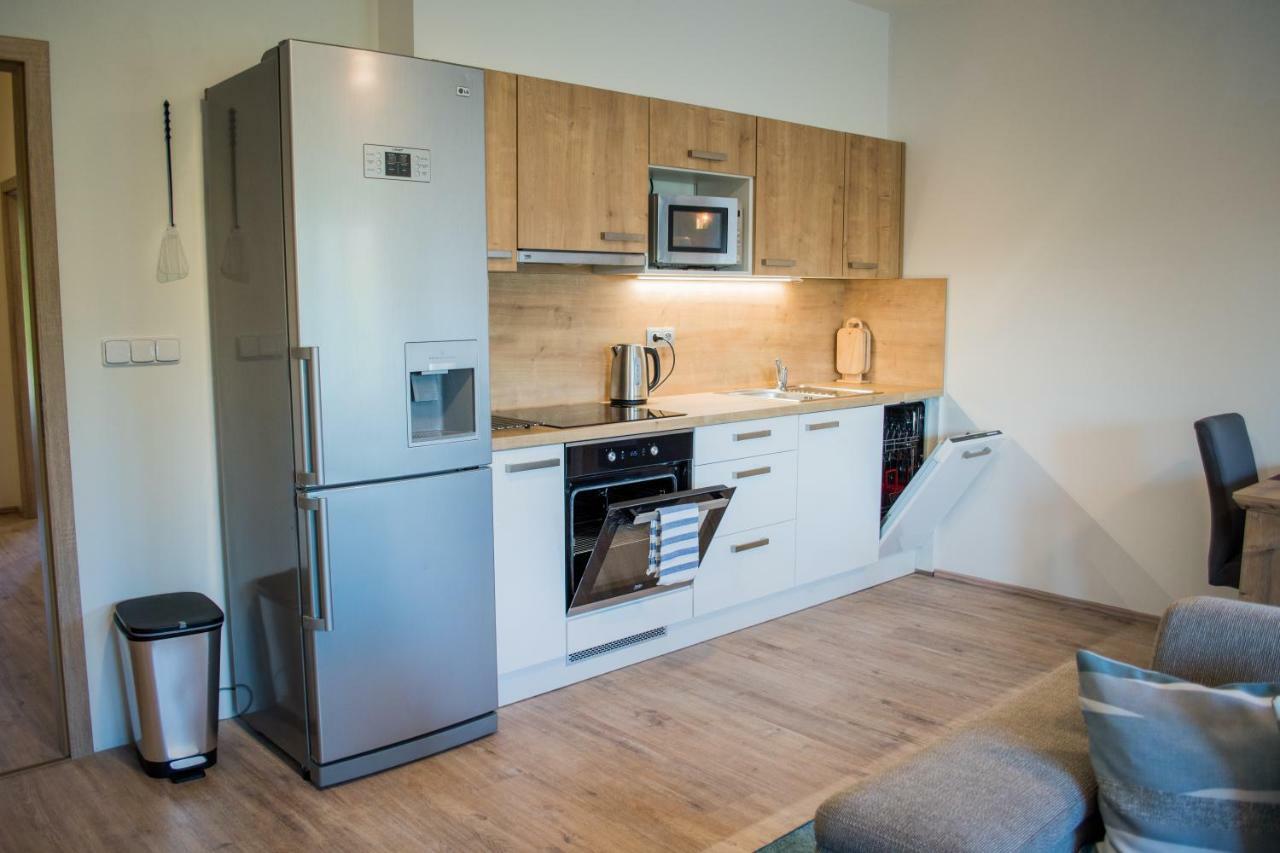 Apartman Laura, Frymburk Εξωτερικό φωτογραφία